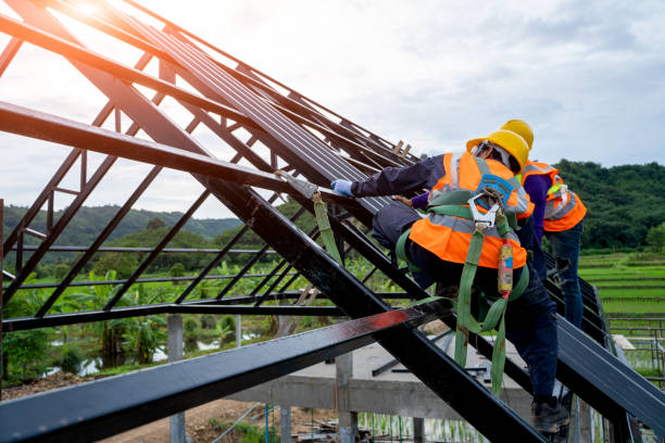 Best Affordable Roofing Company  in Paris, IL
