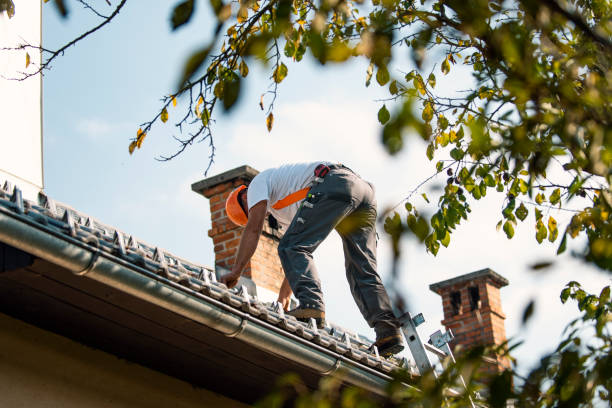 Best Storm Damage Roof Repair  in Paris, IL