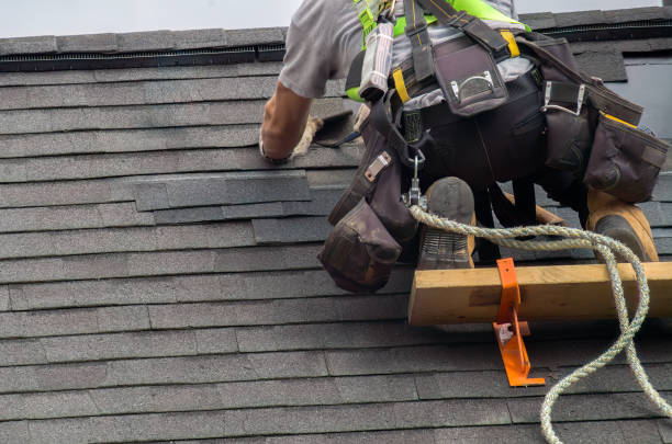 Best Roof Gutter Cleaning  in Paris, IL