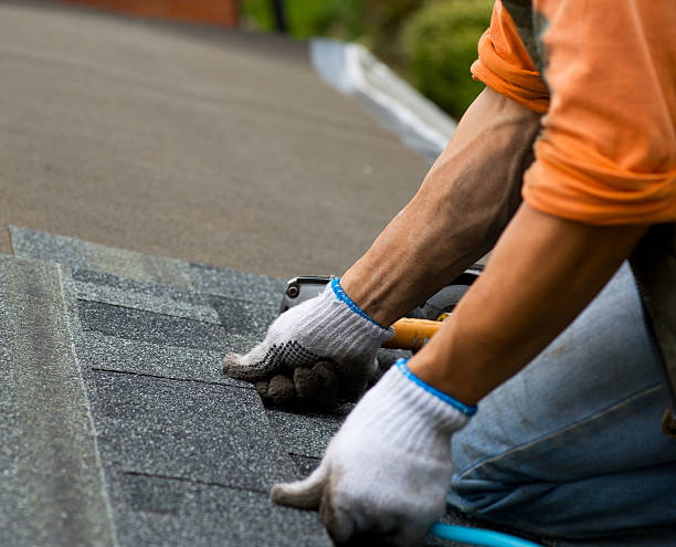 Best Shingle Roofing Installation  in Paris, IL