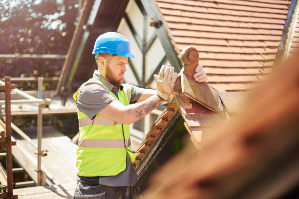 Best Roofing Contractor Near Me  in Paris, IL